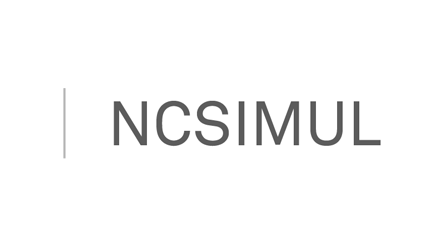 NCSimul